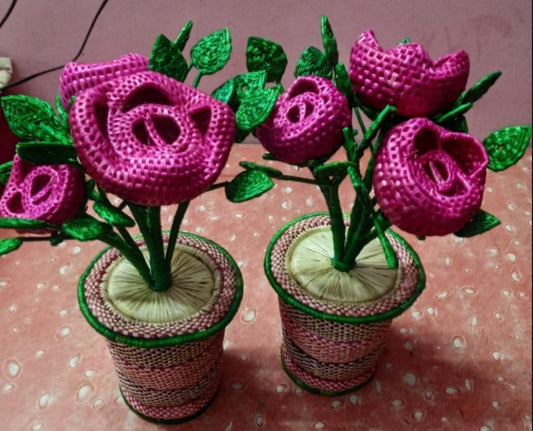 GI Tagged Sikki Grass Handwoven Flower Pot from Bihar